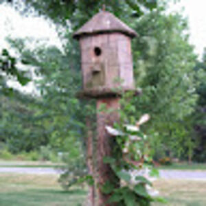 Meet your Posher, Teresa